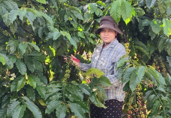 Với vốn vay ưu đãi gia đình chị gia đình chị H' Rồi xã Tà Đùng, có điều kiện chăm sóc cây trồng và phát triển chăn nuôi. Với vốn vay ưu đãi gia đình chị gia đình chị H' Rồi xã Tà Đùng, có điều kiện chăm sóc cây trồng và phát triển chăn nuôi.