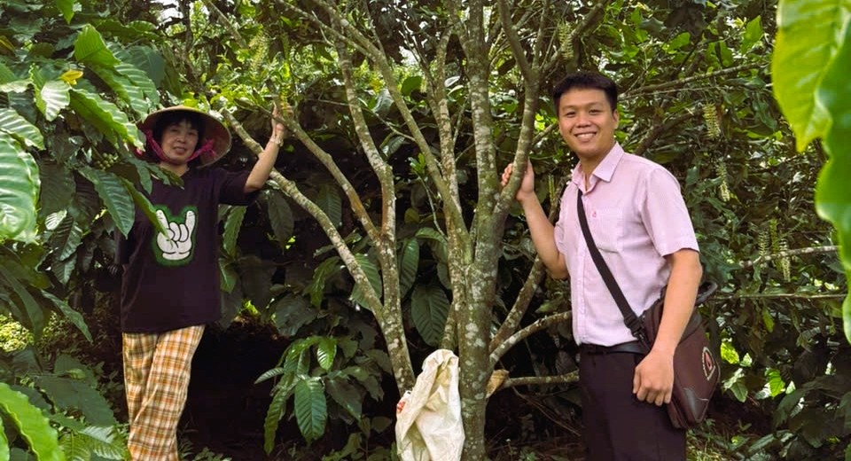 Từ khoản vay ưu đãi 50 triệu đồng đã gia đình bà Thị Hoa (trái) bon Bu Dăr, xã Quảng Trực, thay đổi cuộc sống. Từ khoản vay ưu đãi 50 triệu đồng đã gia đình bà Thị Hoa (trái) bon Bu Dăr, xã Quảng Trực, thay đổi cuộc sống.