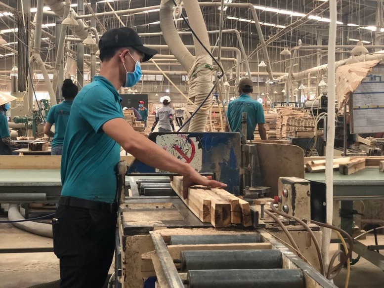 Ngành gỗ Việt bao giờ thoát cảnh ‘áo gấm đi đêm’? Ngành gỗ Việt bao giờ thoát cảnh ‘áo gấm đi đêm’?