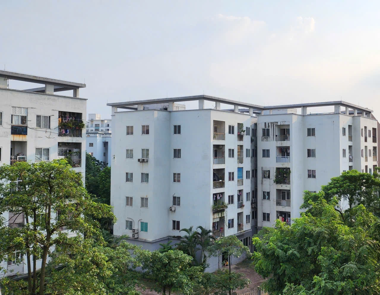 Phát triển nhà ở cho thuê có giá phù hợp với nhu cầu cho Nhân dân Phát triển nhà ở cho thuê có giá phù hợp với nhu cầu cho Nhân dân