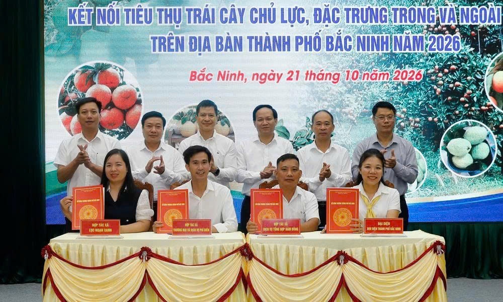 Trái cây Bắc Ninh tìm đầu ra bền vững, mở rộng thị trường bằng đa kênh