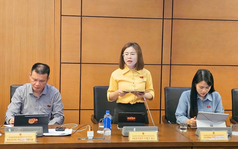 ĐBQH Nguyễn Việt Hà: Không để người mua nhà mất đi lớp bảo vệ từ bảo lãnh ngân hàng