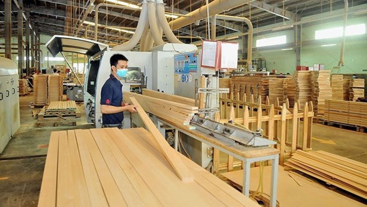 Bẫy pháp lý xanh EUDR và chiến lược mở cửa ngõ Châu Âu Bẫy pháp lý xanh EUDR và chiến lược mở cửa ngõ Châu Âu