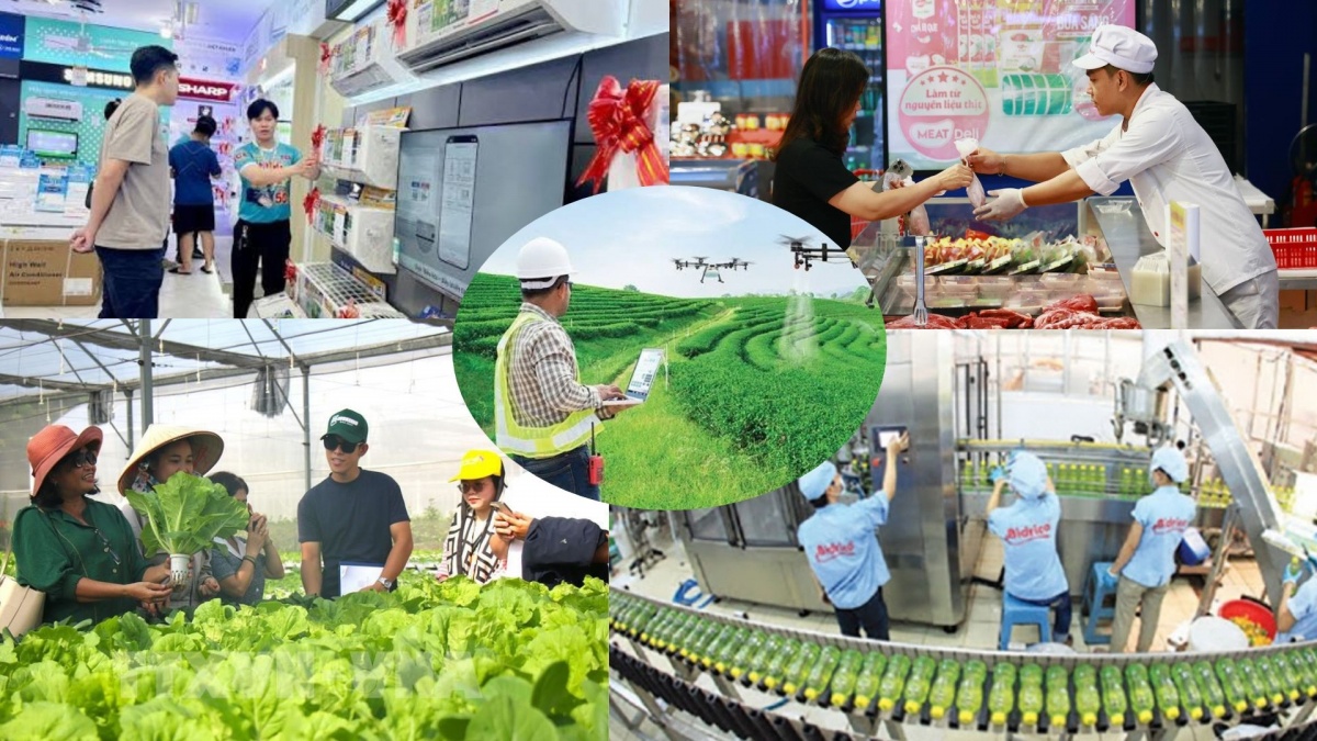 Nâng cao năng lực quản trị, đổi mới sáng tạo là chìa khóa giúp doanh nghiệp Việt phát triển bền vững
