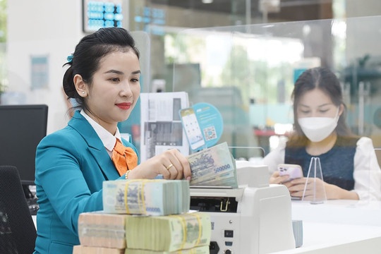 Ngân hàng 'may đo' giải pháp tài chính cho từng nhóm doanh nghiệp Ngân hàng 'may đo' giải pháp tài chính cho từng nhóm doanh nghiệp