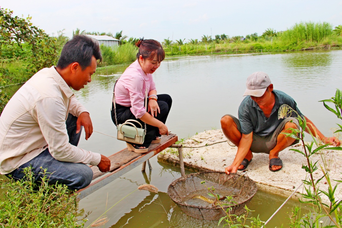 Đồng vốn nhân văn nơi vùng đất Tây Nam Tổ quốc (Kỳ 2) Đồng vốn nhân văn nơi vùng đất Tây Nam Tổ quốc (Kỳ 2)