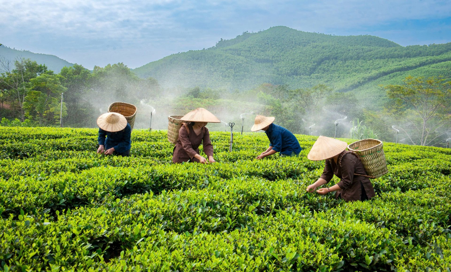 [Emagazine] Tài chính toàn diện khơi thông nguồn lực, kiến tạo nông thôn thịnh vượng - Kỳ 1