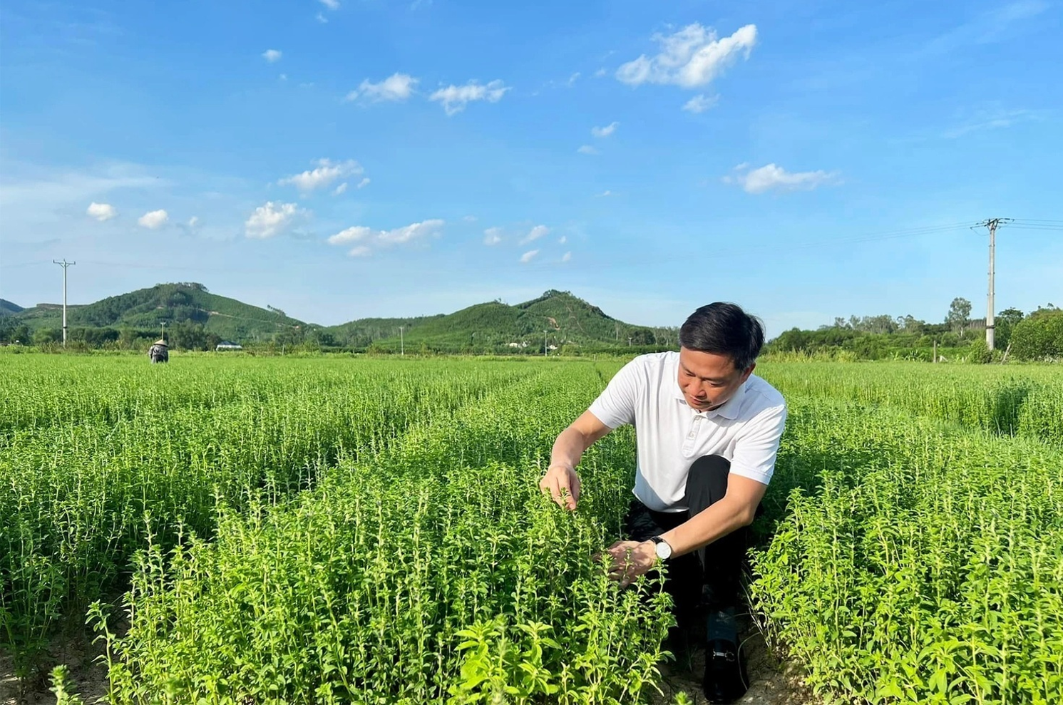 [Emagazine] Tài chính toàn diện khơi thông nguồn lực, kiến tạo nông thôn thịnh vượng - Kỳ 2