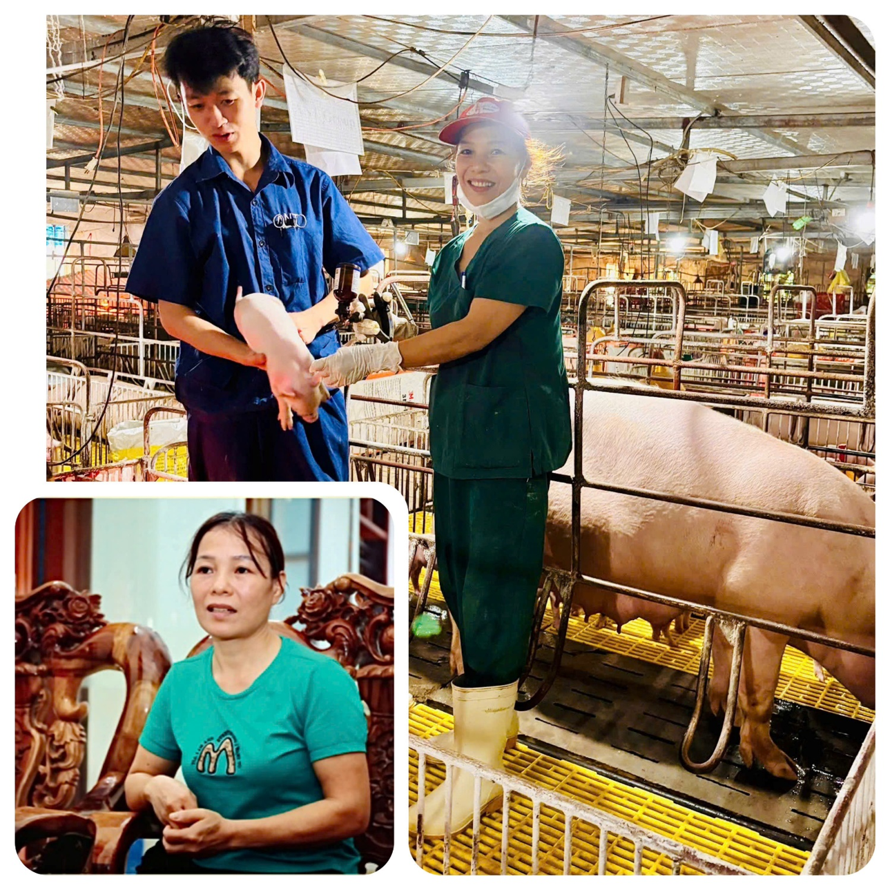 [Emagazine] Tài chính toàn diện khơi thông nguồn lực, kiến tạo nông thôn thịnh vượng - Kỳ 3