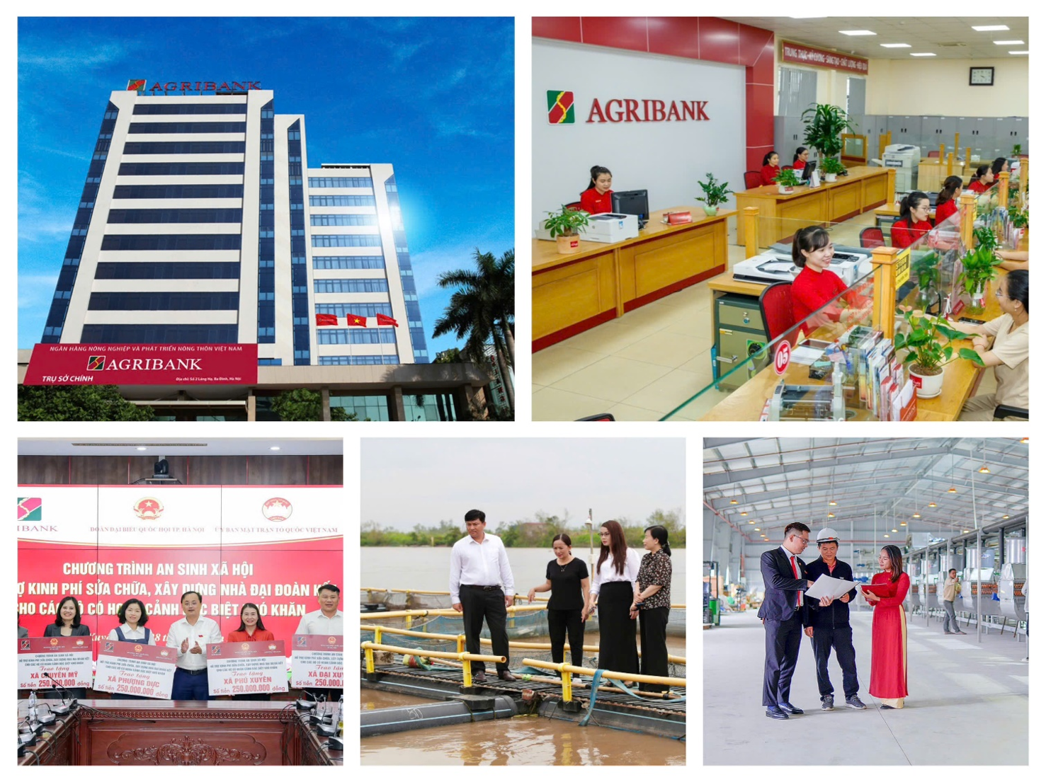 [Emagazine] Tài chính toàn diện khơi thông nguồn lực, kiến tạo nông thôn thịnh vượng - Kỳ 3