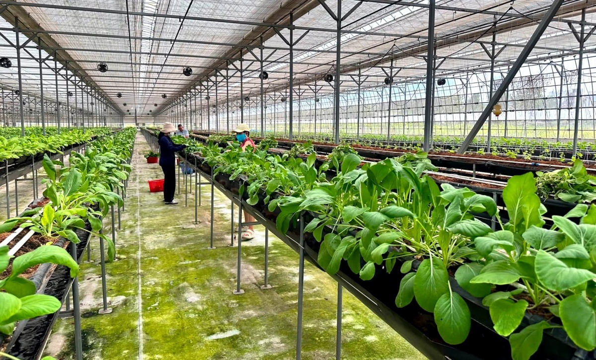 Các công ty công nghệ về nông nghiệp của Israel đang tìm kiếm những cơ hội đầu tư ở Việt Nam Các công ty công nghệ về nông nghiệp của Israel đang tìm kiếm những cơ hội đầu tư ở Việt Nam