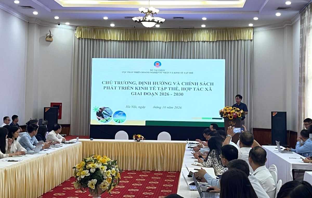 Đại diện Cục Phát triển doanh nghiệp tư nhân và Kinh tế tập thể (Bộ Tài chính) phát biểu Đại diện Cục Phát triển doanh nghiệp tư nhân và Kinh tế tập thể (Bộ Tài chính) phát biểu