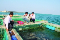 Khi đồng vốn ưu đãi vượt sóng gió