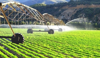 Xây dựng nền nông nghiệp phát triển nhanh, bền vững, hiệu quả