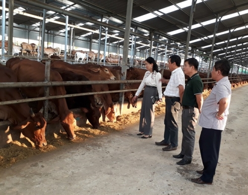 WB hỗ trợ Việt Nam phát triển ngành chăn nuôi và an toàn thực phẩm