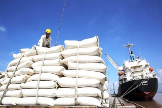 Giá gạo xuất khẩu bình quân 2 tháng đầu năm 2023 tăng 9,8%