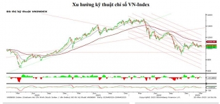 Thanh khoản thấp, VN-Index bắt đầu giai đoạn tích lũy