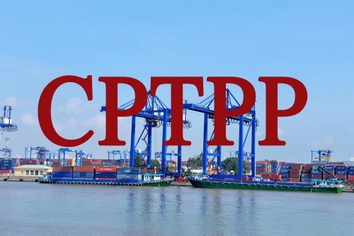 Ban hành Biểu thuế xuất nhập khẩu thực hiện Hiệp định CPTPP