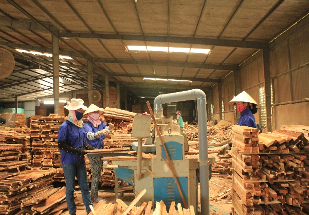 Muốn tham gia chuỗi cung ứng gỗ hợp pháp, doanh nghiệp phải thay đổi