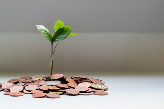 Tài chính xanh mở ra cơ hội lớn cho các ngân hàng Việt