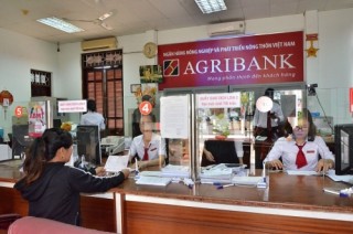 Agribank phát hành 5.000 tỷ đồng trái phiếu, lãi suất dự kiến trên 8%