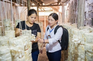 TYM - Luôn nỗ lực để phụ nữ Việt Nam có điểm tựa phát triển bền vững