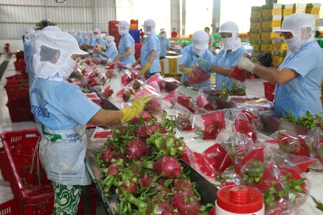 Hoàn thiện quy trình để nông sản Việt phát huy thế mạnh