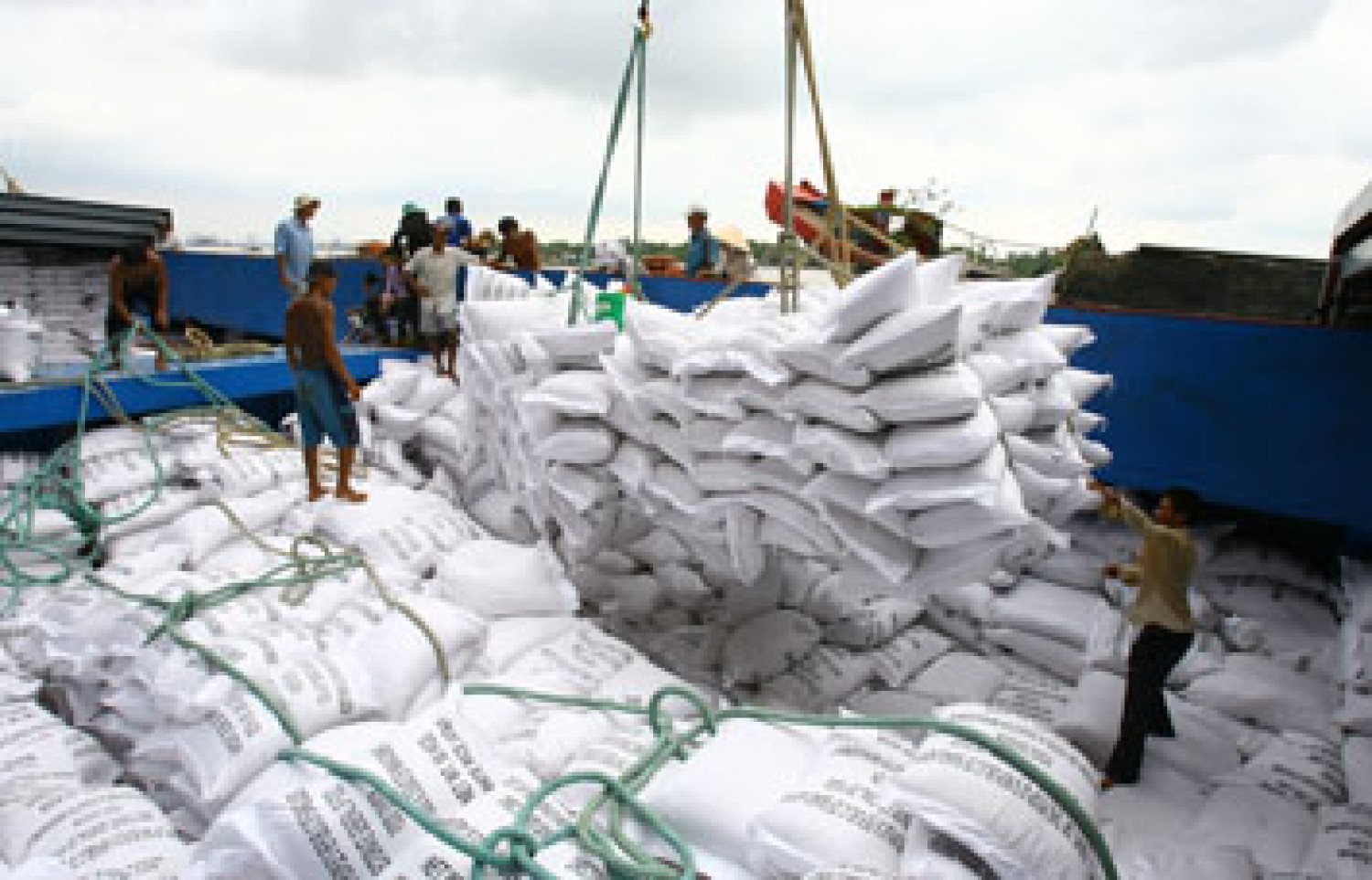 Xuất khẩu hơn 220 nghìn tấn gạo trong tháng đầu năm