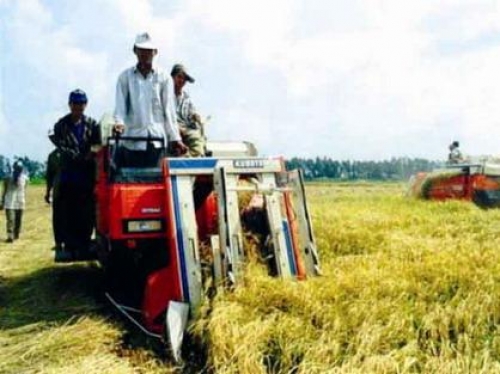 Hỗ trợ các TCTD cho vay phát triển nông nghiệp – nông thôn