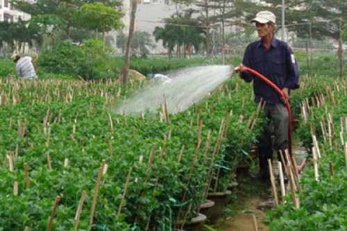 Đà Nẵng: Về đích nông thôn mới trong năm 2015