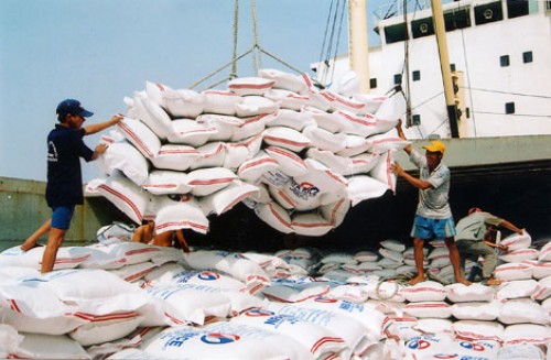 Theo dõi sát tình hình sản xuất, xuất khẩu gạo