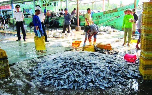 Hợp tác với Nhật Bản xây dựng Trung tâm nghề cá