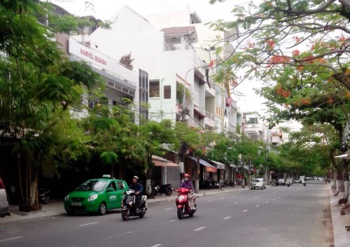 Chỉnh trang cây xanh tại 9 tuyến đường trên địa bàn Đà Nẵng