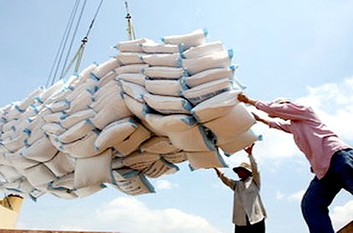 Xuất khẩu hơn 2,9 triệu tấn gạo trong 7 tháng đầu năm, trị giá gần 1,27 tỷ USD