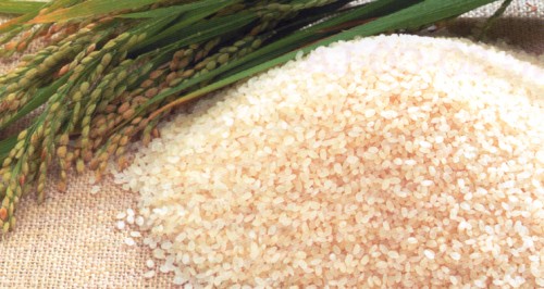 USDA: Dự báo cung cầu gạo thế giới niên vụ 2016/17