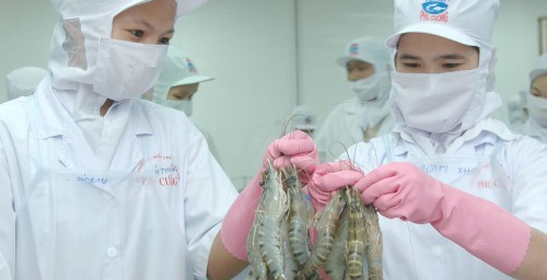 Mỹ giảm thuế chống bán phá tôm nhập khẩu từ Việt Nam