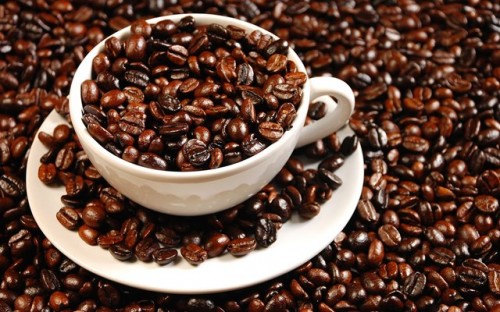 Giá cà phê trong nước tăng 700 nghìn đồng/tấn