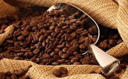 Giá cà phê trong nước giảm trở lại 200 nghìn đồng/tấn