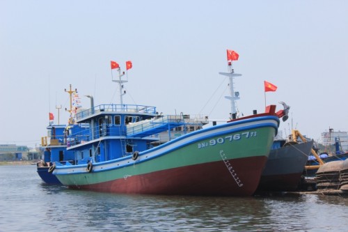 Đà Nẵng hỗ trợ gần 1,9 tỷ đồng cho ngư dân do sự cố cá biển chết