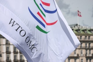 WTO bị sốc với cách diễn giải về tranh chấp thương mại “kiểu Mỹ”
