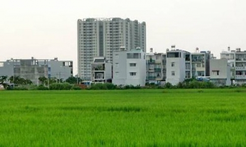 Hà Nội sẽ chuyển đổi 270,98ha đất trồng lúa sang đất phi nông nghiệp