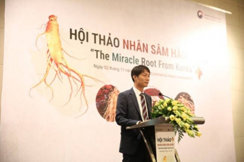 Việt Nam: Thị trường xuất khẩu nhân sâm lớn thứ 5 của Hàn Quốc