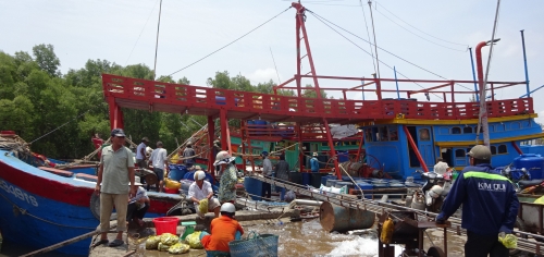 Tiền Giang: Nghị định 67 trong khai thác hải sản phát huy hiệu quả