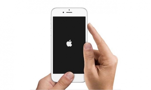 5 việc đơn giản người dùng iPhone nên làm
