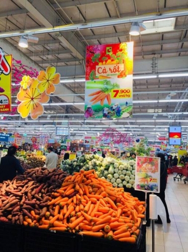 Central Group Việt Nam hỗ trợ nông dân Hải Dương tiêu thụ cà rốt