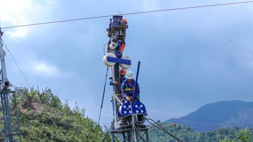 Hợ