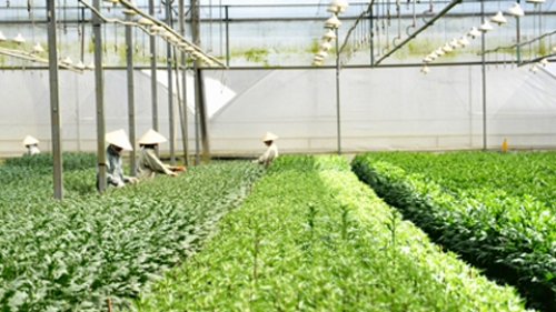 Phê duyệt quy hoạch Khu nông nghiệp ứng dụng công nghệ cao Phú Yên