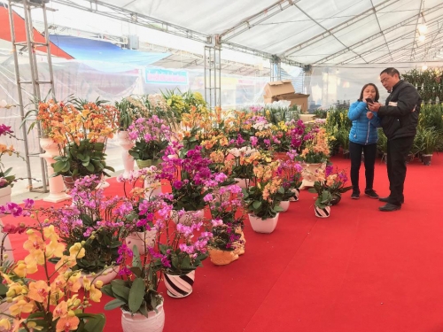 Gần 200 DN tham gia Hội chợ Xuân Mậu Tuất 2018