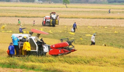 Hà Nội phân bổ 250 tỷ đồng cho vay phát triển nông nghiệp, nông thôn và nông dân