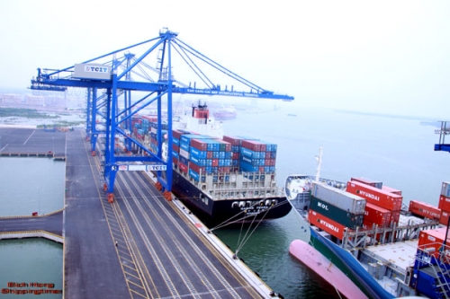 Tân cảng Sài Gòn đóng góp 20% cho ngân sách TP.HCM